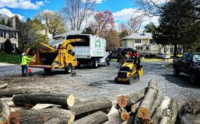 Best Aeration Services  in Rio Verde, AZ